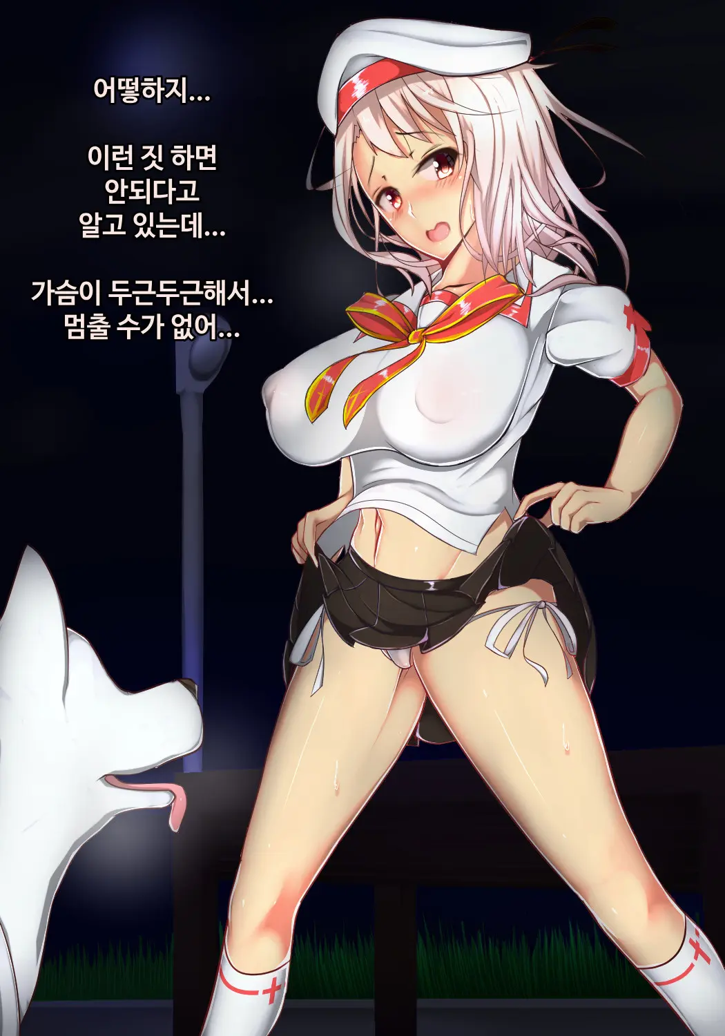 Illya To Juukan! | 이리야와 수간!